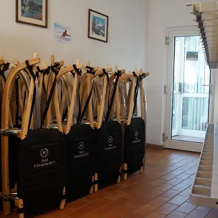 Отель Schwarzbachhof 3*